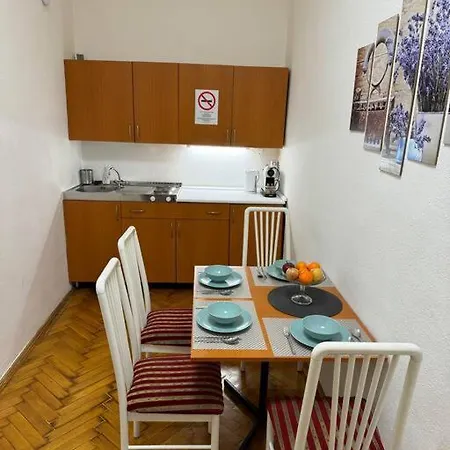 Spacious Retro Style Apartament *